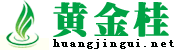 黄金桂